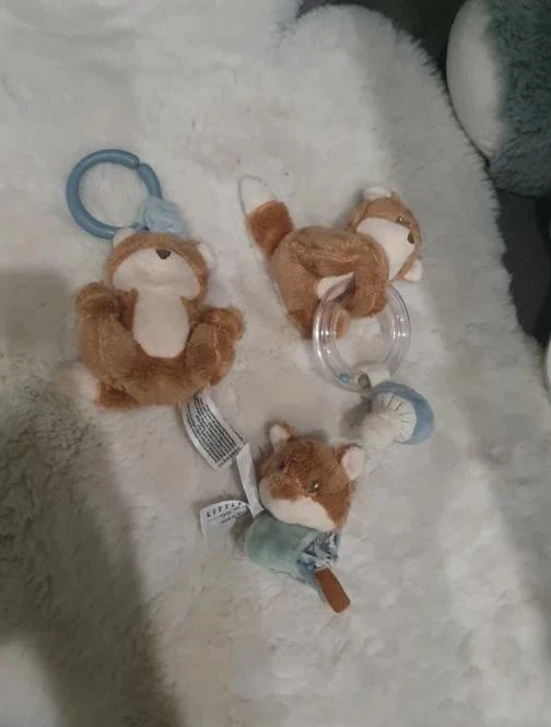 Lot renards